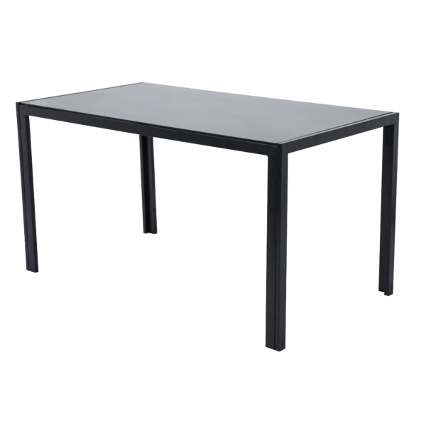 1.2M Glass Dining Table Dining Room Furniture Black